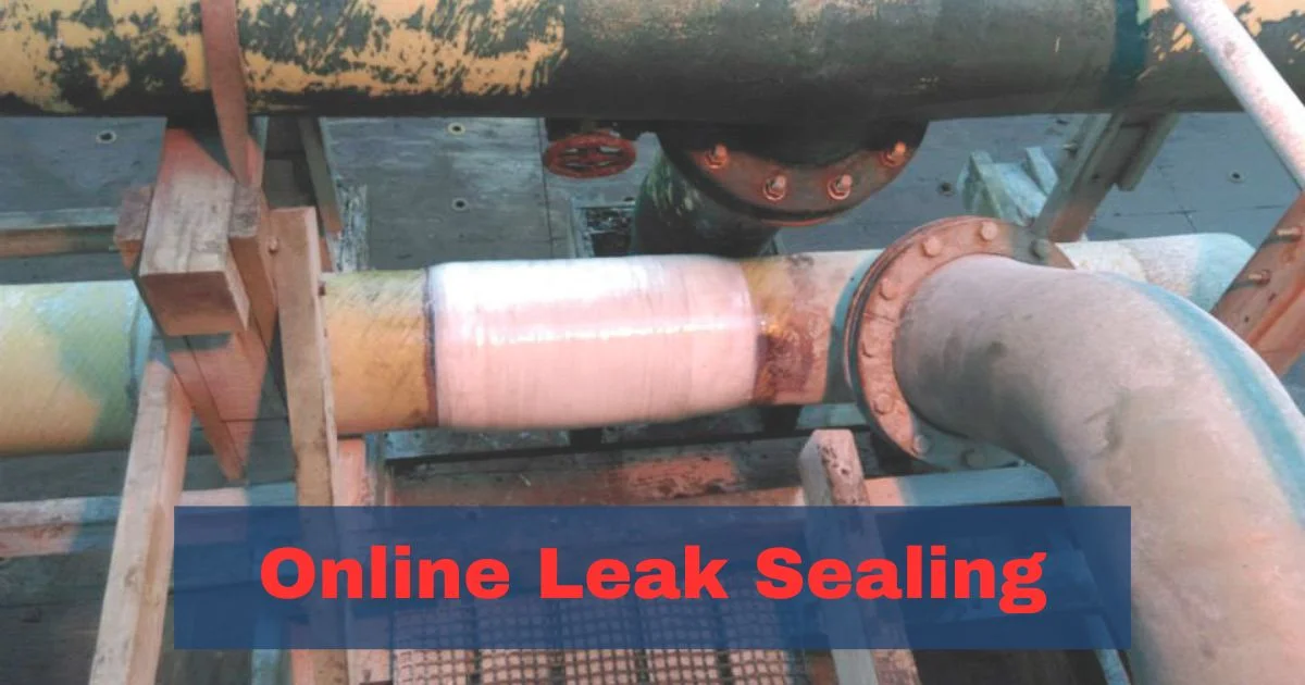 Beginner’s Guide to Understanding Online Leak Sealing